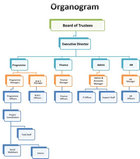 examples of successful organograms.